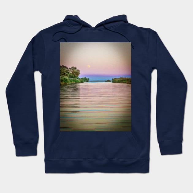 Colorful Danube landscape Hoodie by NxtArt